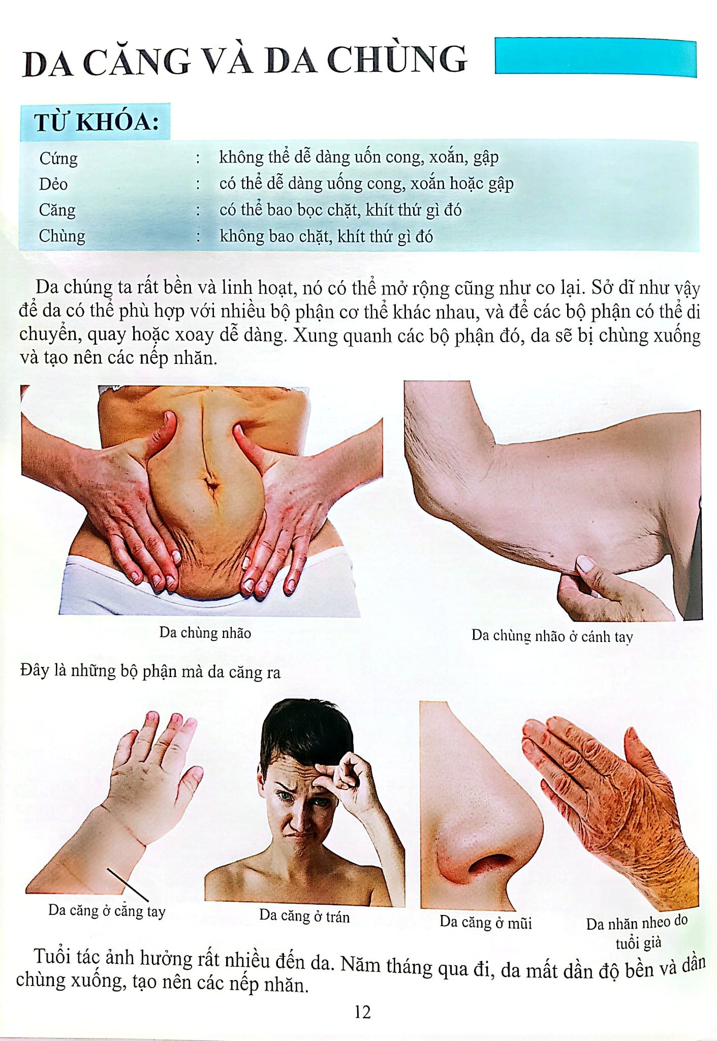 Cơ Thể Của Tôi Hoạt Động Như Thế Nào - Da - T.R.Bhanot