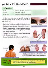 Cơ Thể Của Tôi Hoạt Động Như Thế Nào - Da - T.R.Bhanot