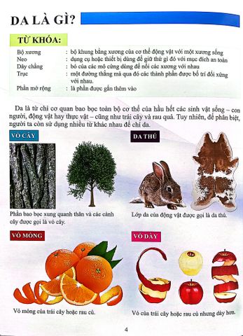  Combo 16 Cuốn Cơ Thể Của Tôi Hoạt Động Như Thế Nào ? 