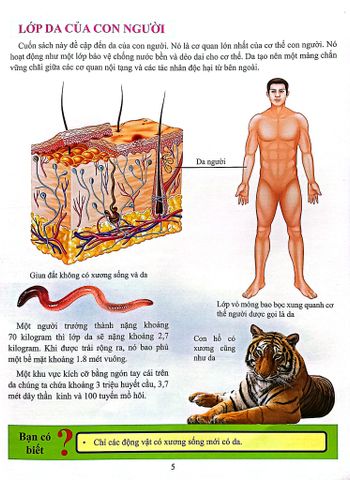  Combo 16 Cuốn Cơ Thể Của Tôi Hoạt Động Như Thế Nào ? 