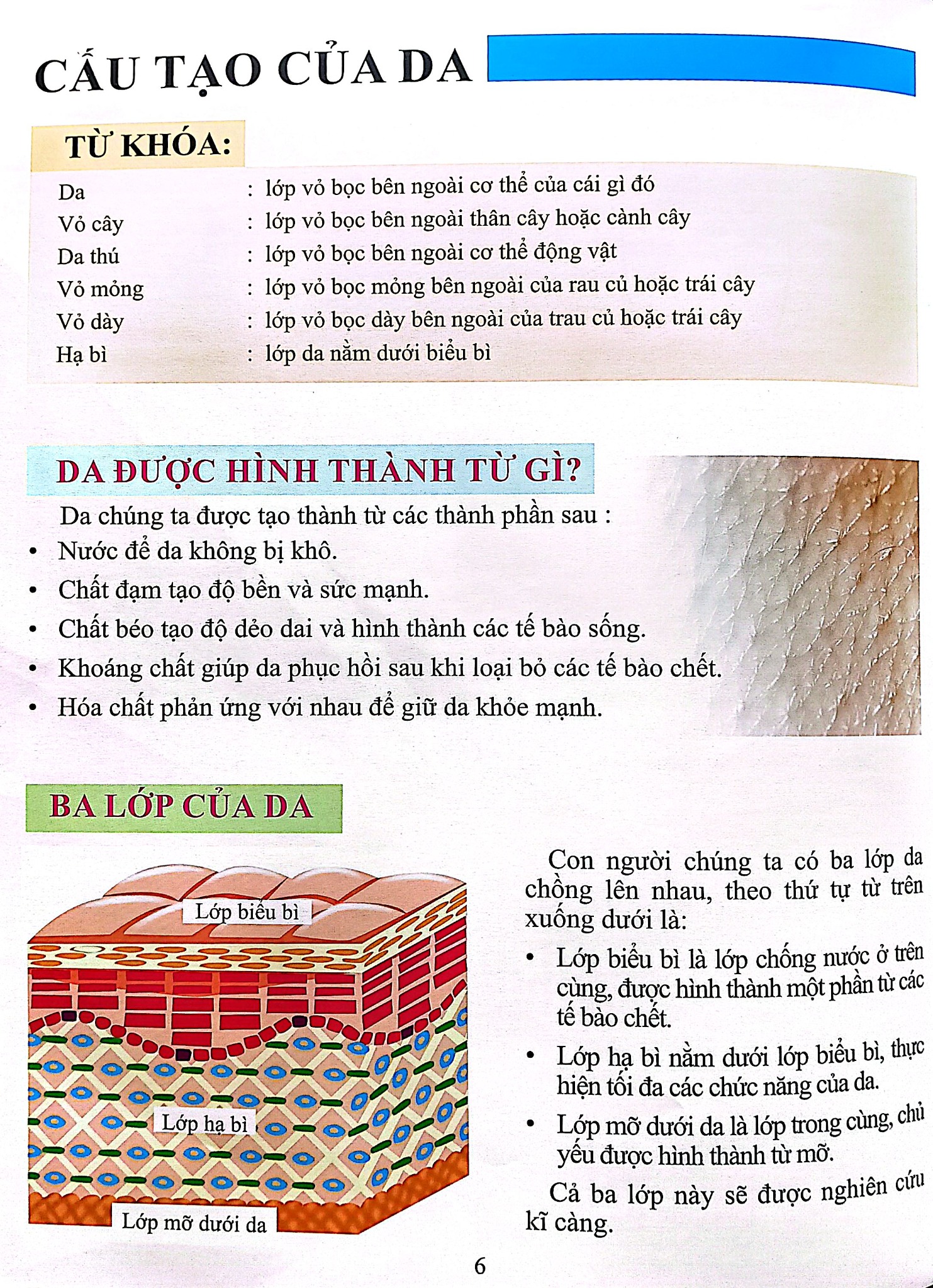 Cơ Thể Của Tôi Hoạt Động Như Thế Nào - Da - T.R.Bhanot