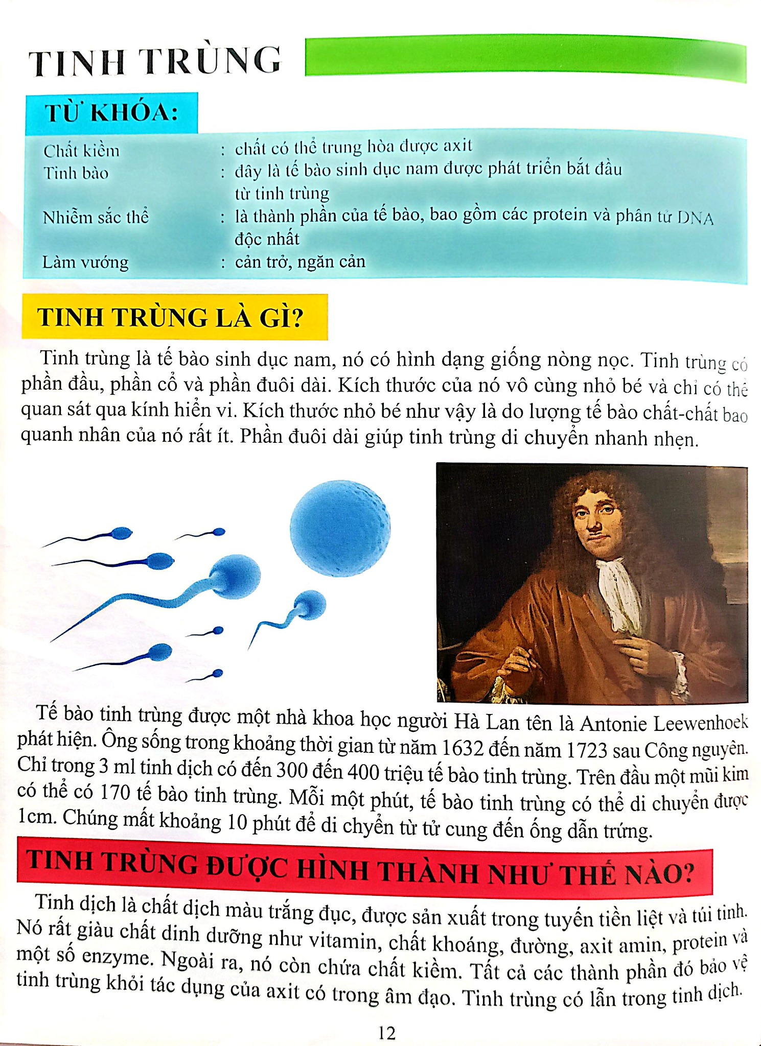 Cơ Thể Của Tôi Hoạt Động Như Thế Nào Sinh Sản - T.R.Bhanot