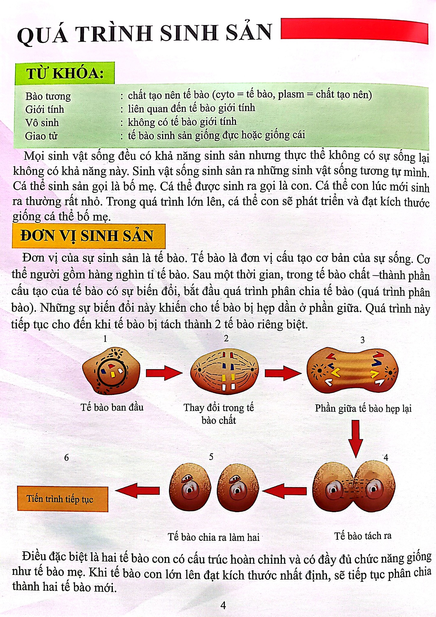Cơ Thể Của Tôi Hoạt Động Như Thế Nào Sinh Sản - T.R.Bhanot