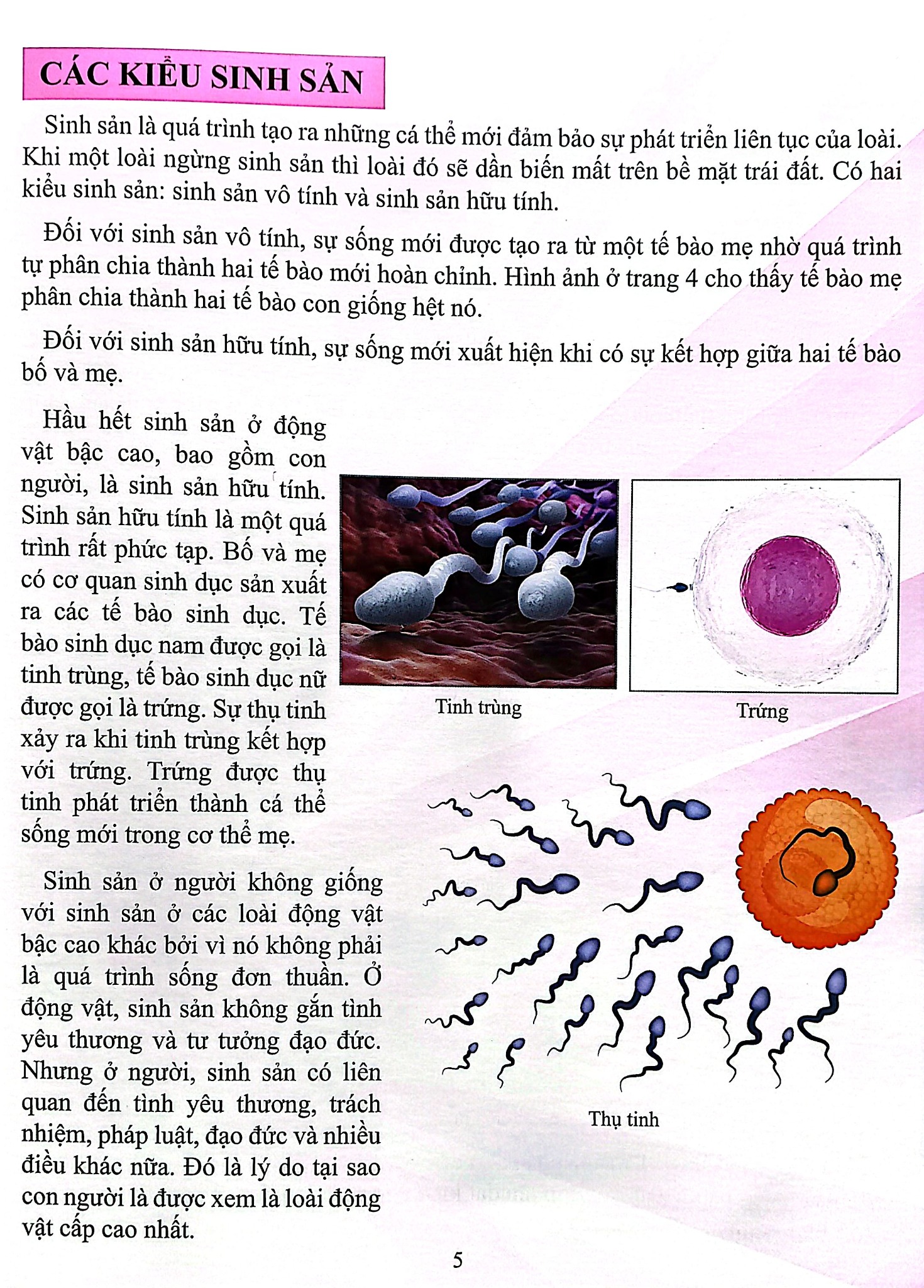 Cơ Thể Của Tôi Hoạt Động Như Thế Nào Sinh Sản - T.R.Bhanot