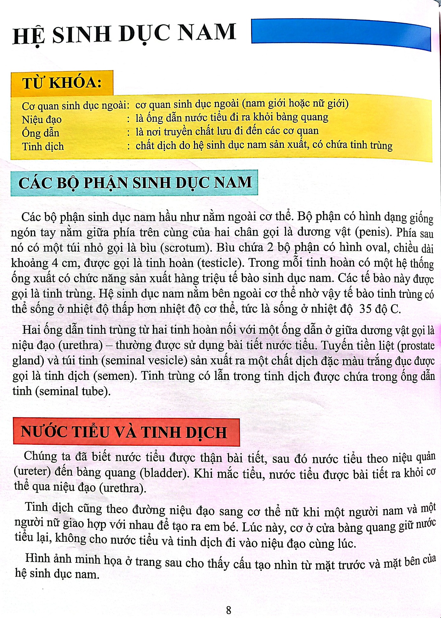 Cơ Thể Của Tôi Hoạt Động Như Thế Nào Sinh Sản - T.R.Bhanot