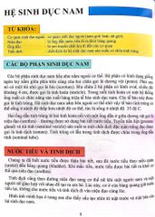 Cơ Thể Của Tôi Hoạt Động Như Thế Nào Sinh Sản - T.R.Bhanot