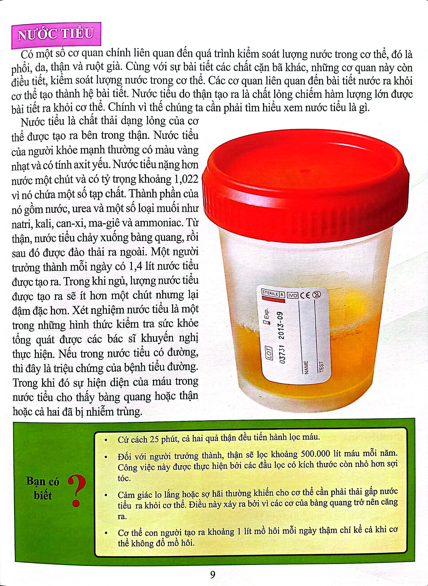 Cơ Thể Của Tôi Hoạt Động Như Thế Nào Thận - T.R.Bhanot