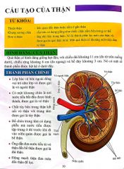 Cơ Thể Của Tôi Hoạt Động Như Thế Nào Thận - T.R.Bhanot