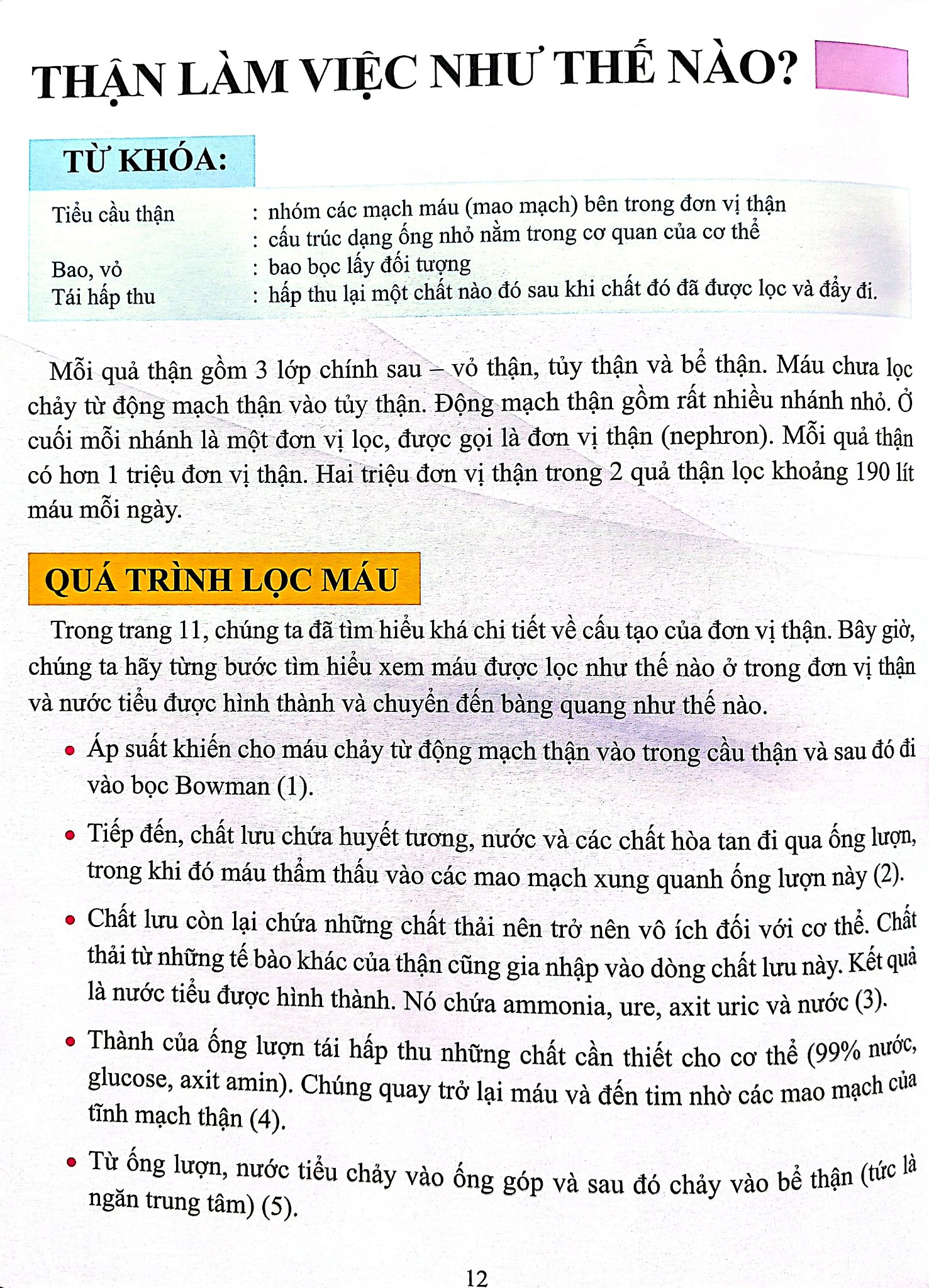 Cơ Thể Của Tôi Hoạt Động Như Thế Nào Thận - T.R.Bhanot