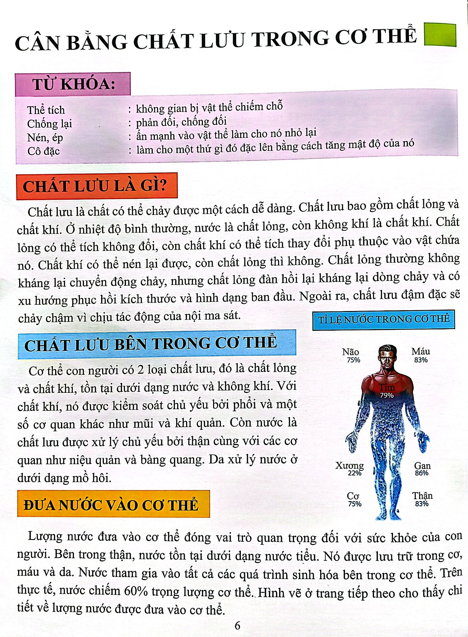 Cơ Thể Của Tôi Hoạt Động Như Thế Nào Thận - T.R.Bhanot