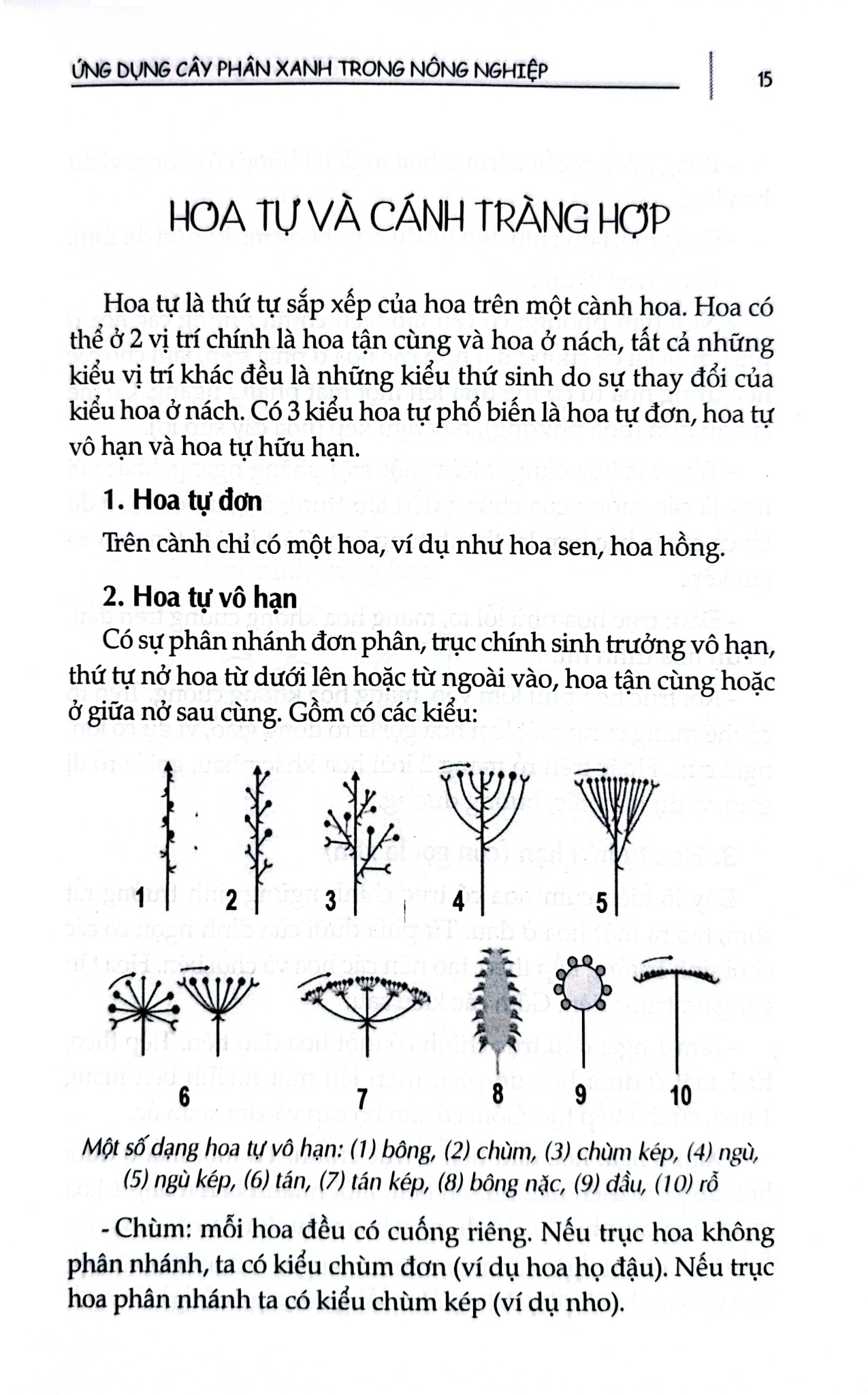 Ứng Dụng Cây Phân Xanh Trong Nông Nghiệp - Nhiều Tác Giả