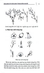 Ứng Dụng Cây Phân Xanh Trong Nông Nghiệp - Nhiều Tác Giả