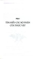 Ứng Dụng Cây Phân Xanh Trong Nông Nghiệp - Nhiều Tác Giả