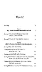 Bí Mật Của Thung Lũng Silicon - Deborah Pery Piscione