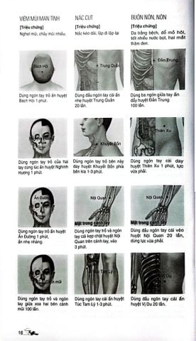 Massage Kinh Lạc Huyệt Vị Toàn Thư - Tra Vĩ 
