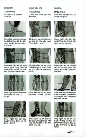  Massage Kinh Lạc Huyệt Vị Toàn Thư - Tra Vĩ 