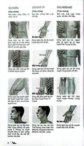  Massage Kinh Lạc Huyệt Vị Toàn Thư - Tra Vĩ 