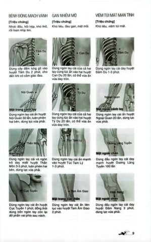  Massage Kinh Lạc Huyệt Vị Toàn Thư - Tra Vĩ 