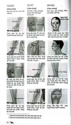  Massage Kinh Lạc Huyệt Vị Toàn Thư - Tra Vĩ 
