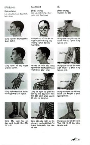  Massage Kinh Lạc Huyệt Vị Toàn Thư - Tra Vĩ 