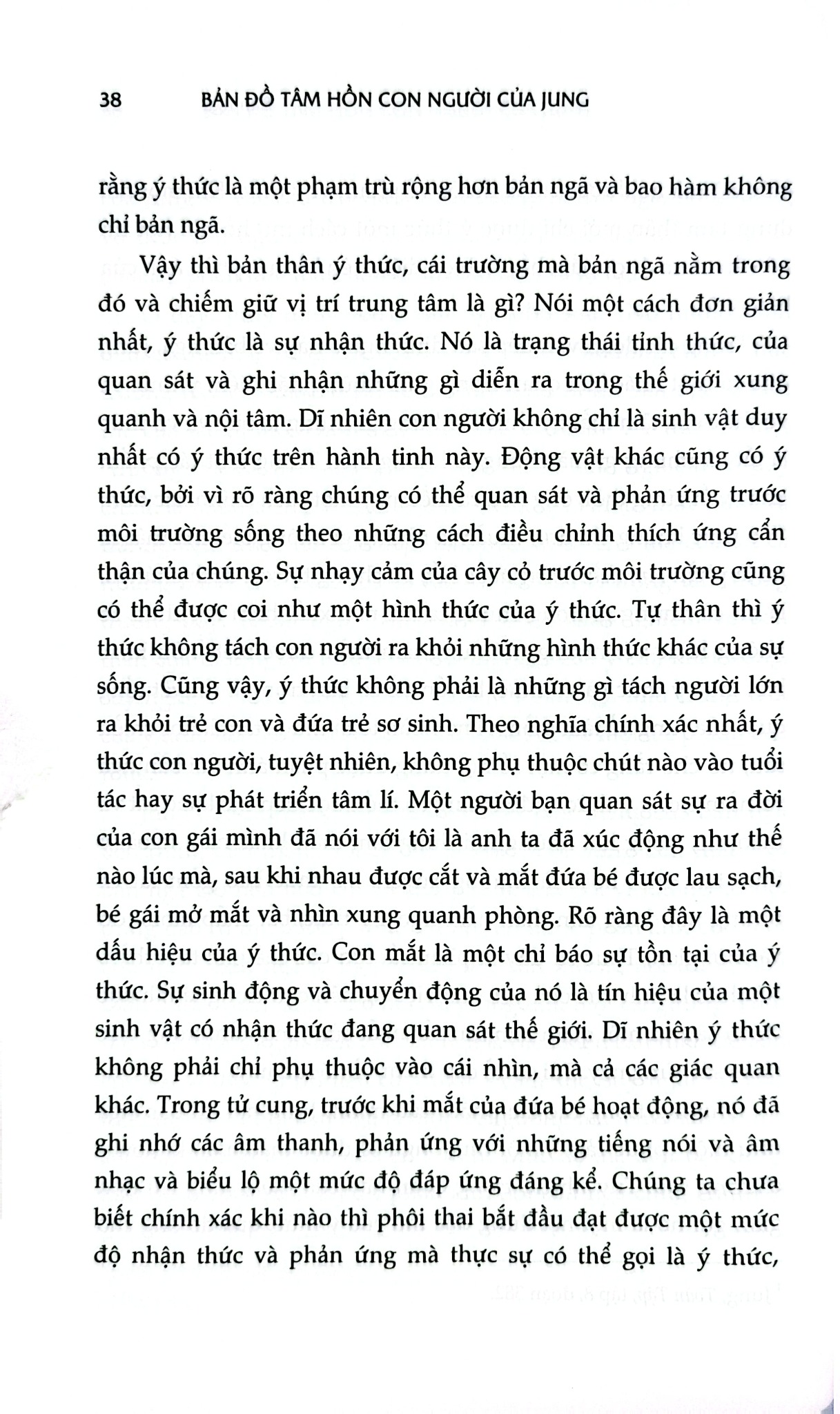 Bản Đồ Tâm Hồn Con Người Của Jung - Murray Stein
