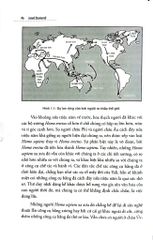 Combo 4 Quyển Của Jared Diamond ( Sụp Đổ + Thế Giới Cho Đến Ngày Hôm Qua + Súng Vi Trùng Và Thép + Loài Tinh Tinh Thứ Ba ) - Jared Diamond