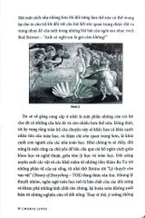 Khoa Học Khám Phá - Ngôn Ngữ Của Đối Xứng - Mario Livio