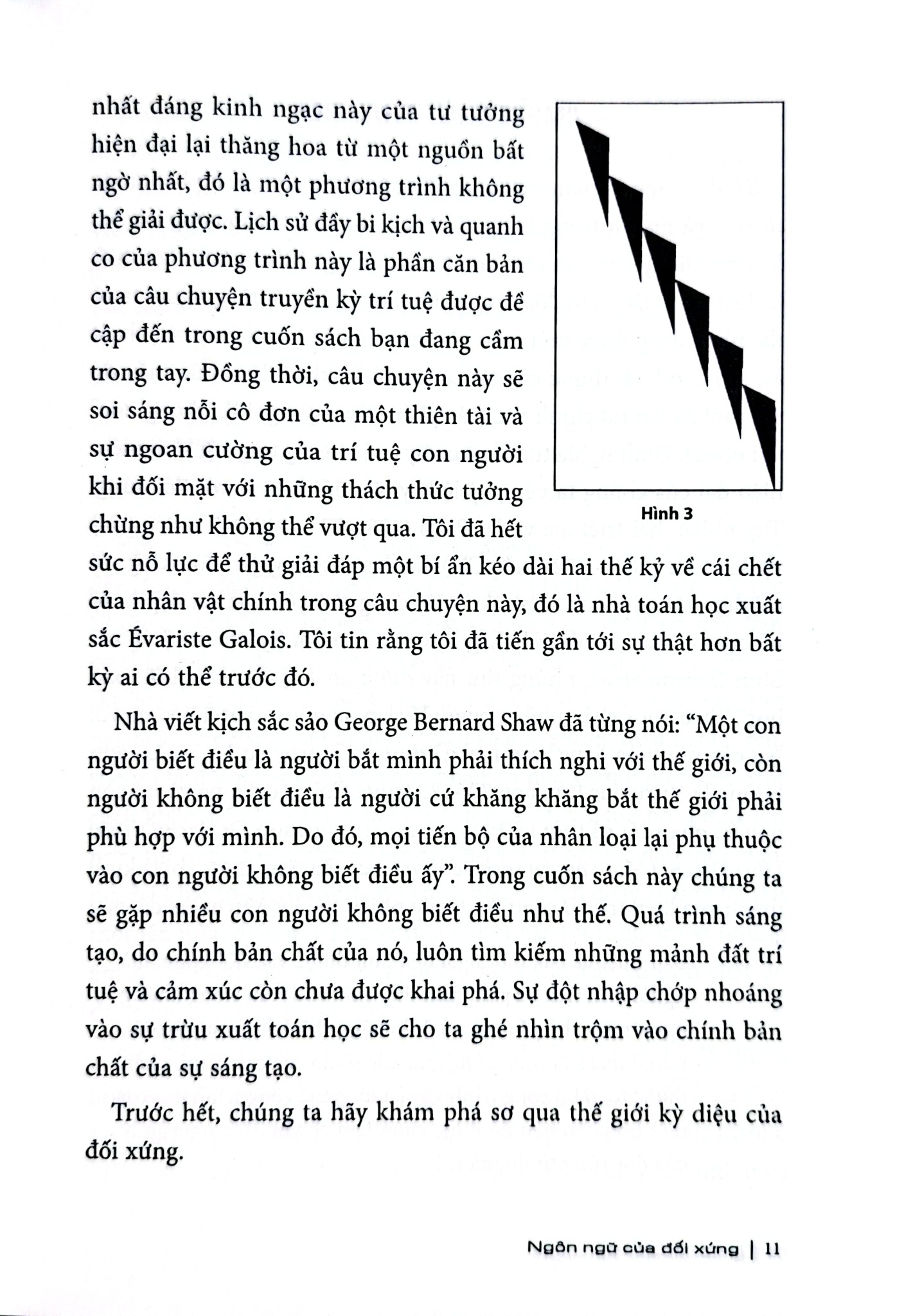 Khoa Học Khám Phá - Ngôn Ngữ Của Đối Xứng - Mario Livio