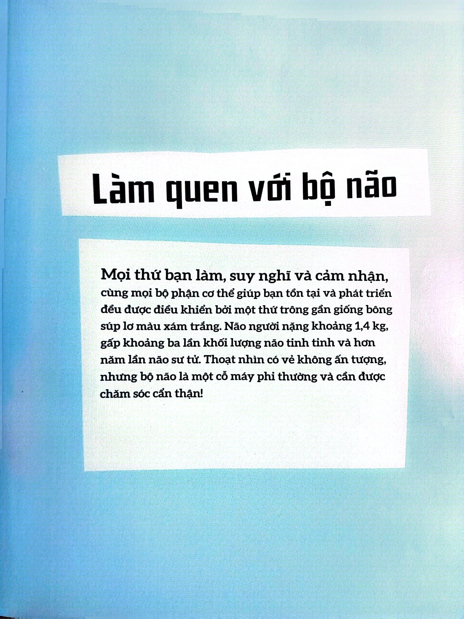 Bộ Não Người - Trong 30 Giây - 
Clive Gifford