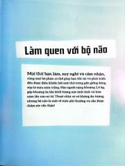 Bộ Não Người - Trong 30 Giây - 
Clive Gifford
