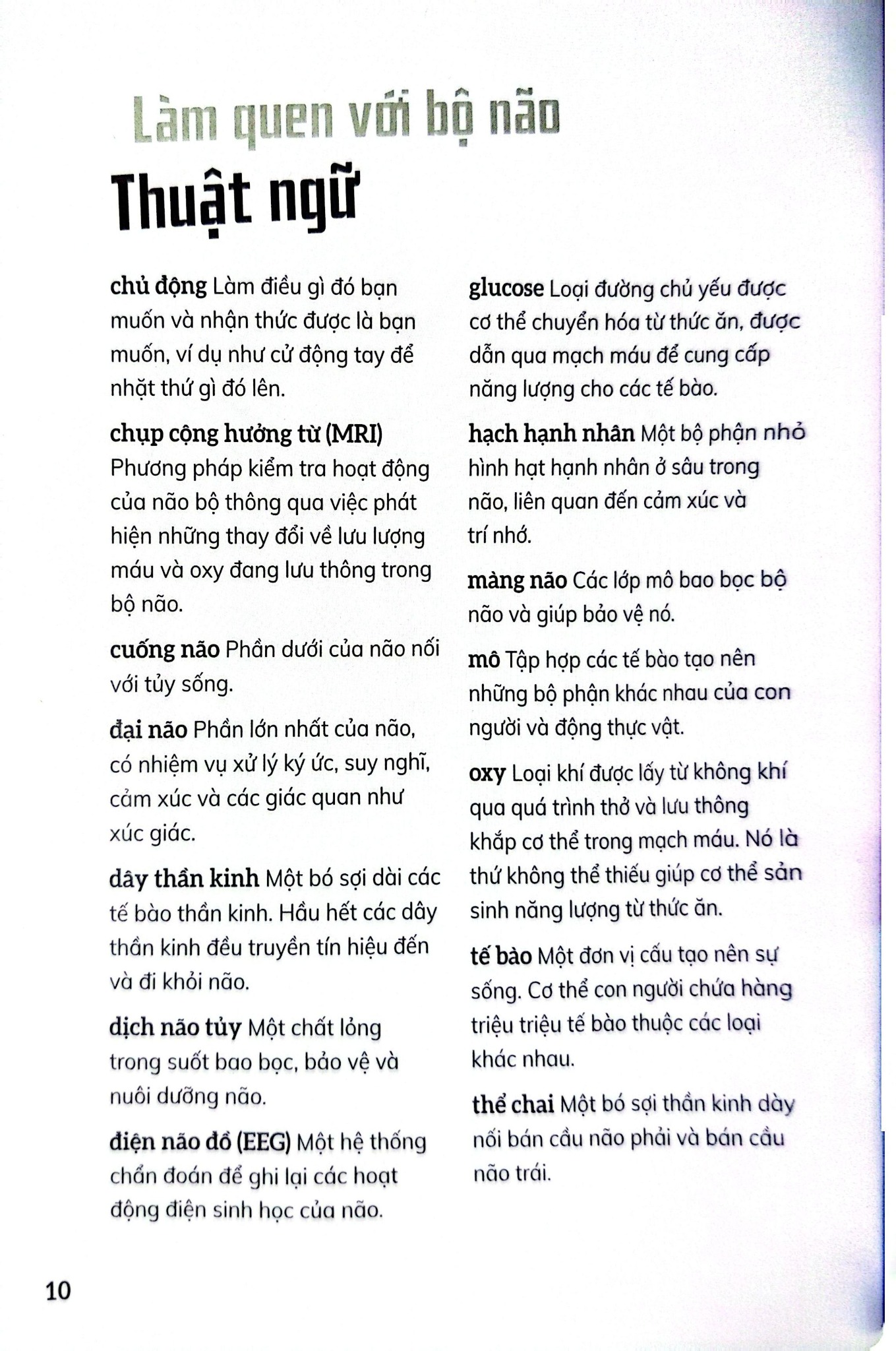 Bộ Não Người - Trong 30 Giây - 
Clive Gifford