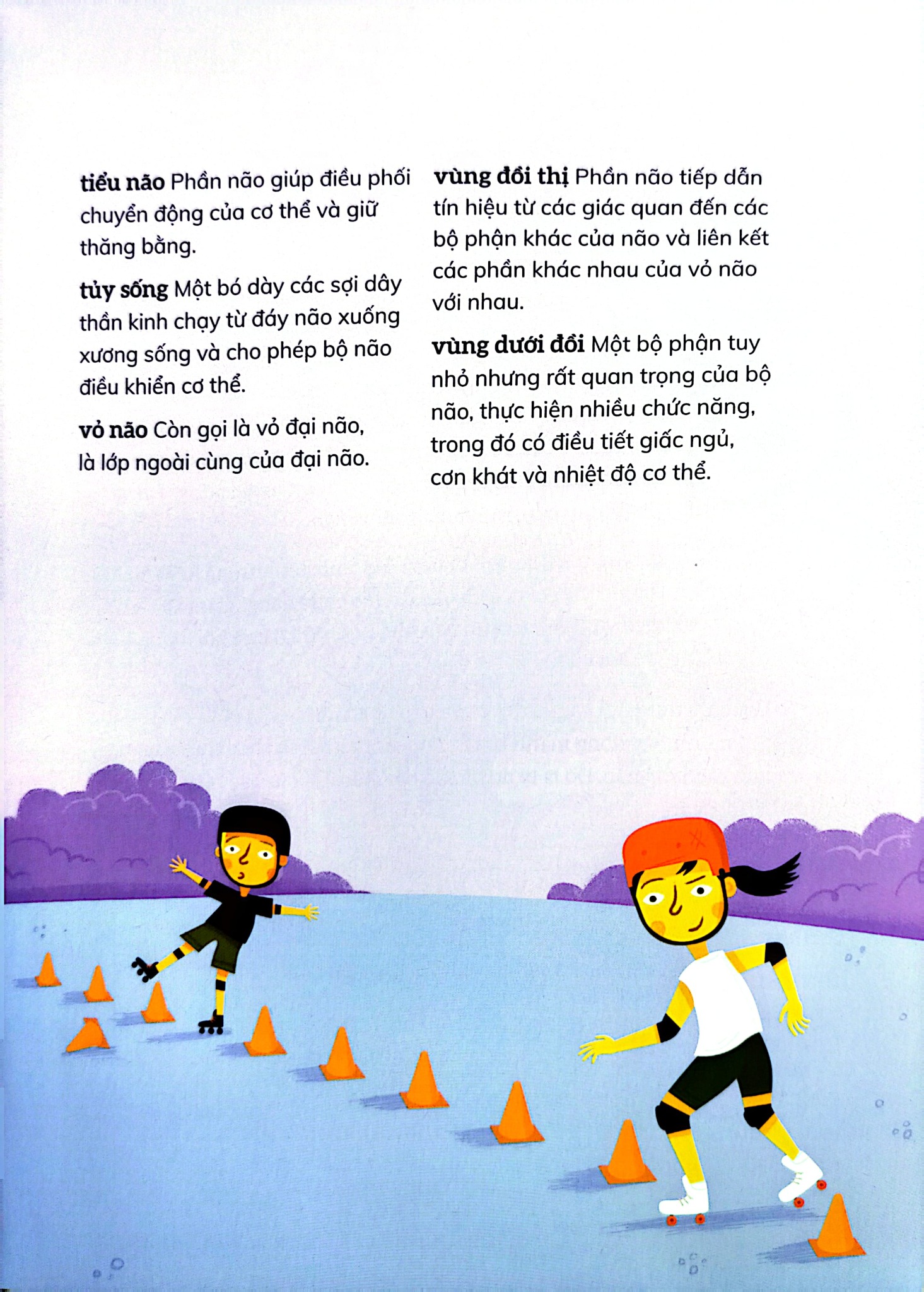 Bộ Não Người - Trong 30 Giây - 
Clive Gifford