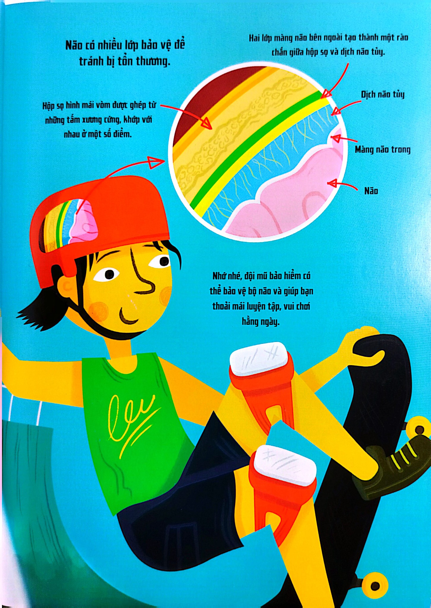 Bộ Não Người - Trong 30 Giây - 
Clive Gifford