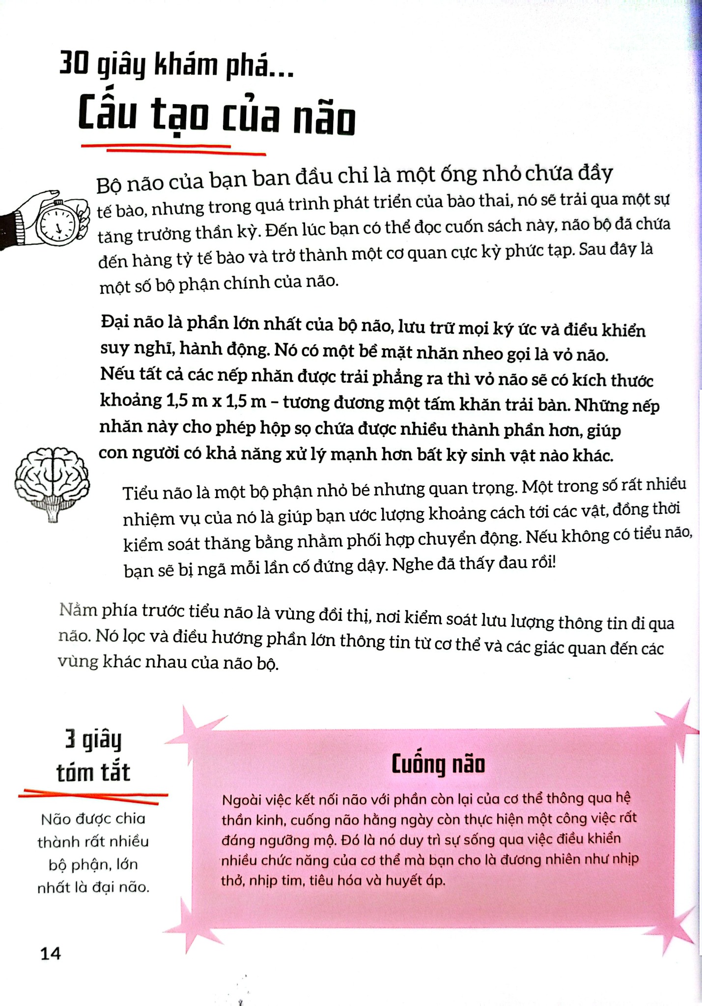 Bộ Não Người - Trong 30 Giây - 
Clive Gifford