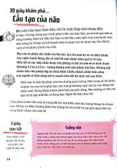 Bộ Não Người - Trong 30 Giây - 
Clive Gifford