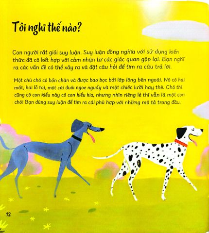  Câu Hỏi Lớn Thế Giới To - Tại Sao Chúng Ta Ở Đây? - Nancy Dickmann, Andrés Landazabál 