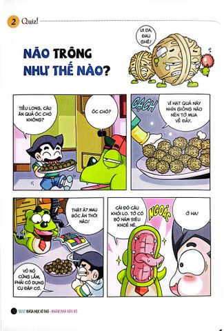  Quiz! Khoa Học Kì Thú - Khám Phá Não Bộ - Nhiều Tác Giả 