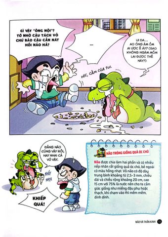  Quiz! Khoa Học Kì Thú - Khám Phá Não Bộ - Nhiều Tác Giả 