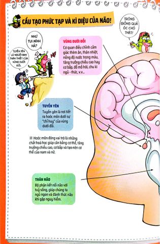  Quiz! Khoa Học Kì Thú - Khám Phá Não Bộ - Nhiều Tác Giả 