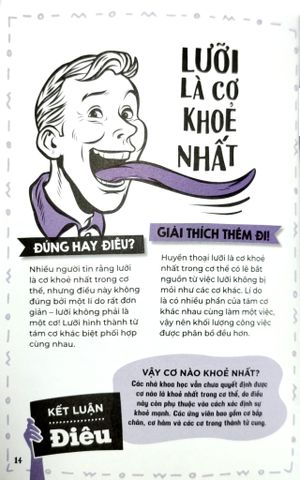  Đúng Hay Điêu - Sự Thật Về Cơ Thể Người - Izzi Howell 