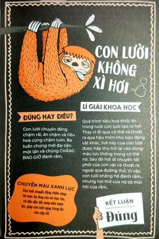  Đúng Hay Điêu - Sự Thật Về Động Vật - Izzi Howell 