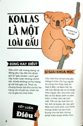  Đúng Hay Điêu - Sự Thật Về Động Vật - Izzi Howell 