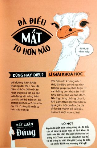  Đúng Hay Điêu - Sự Thật Về Động Vật - Izzi Howell 