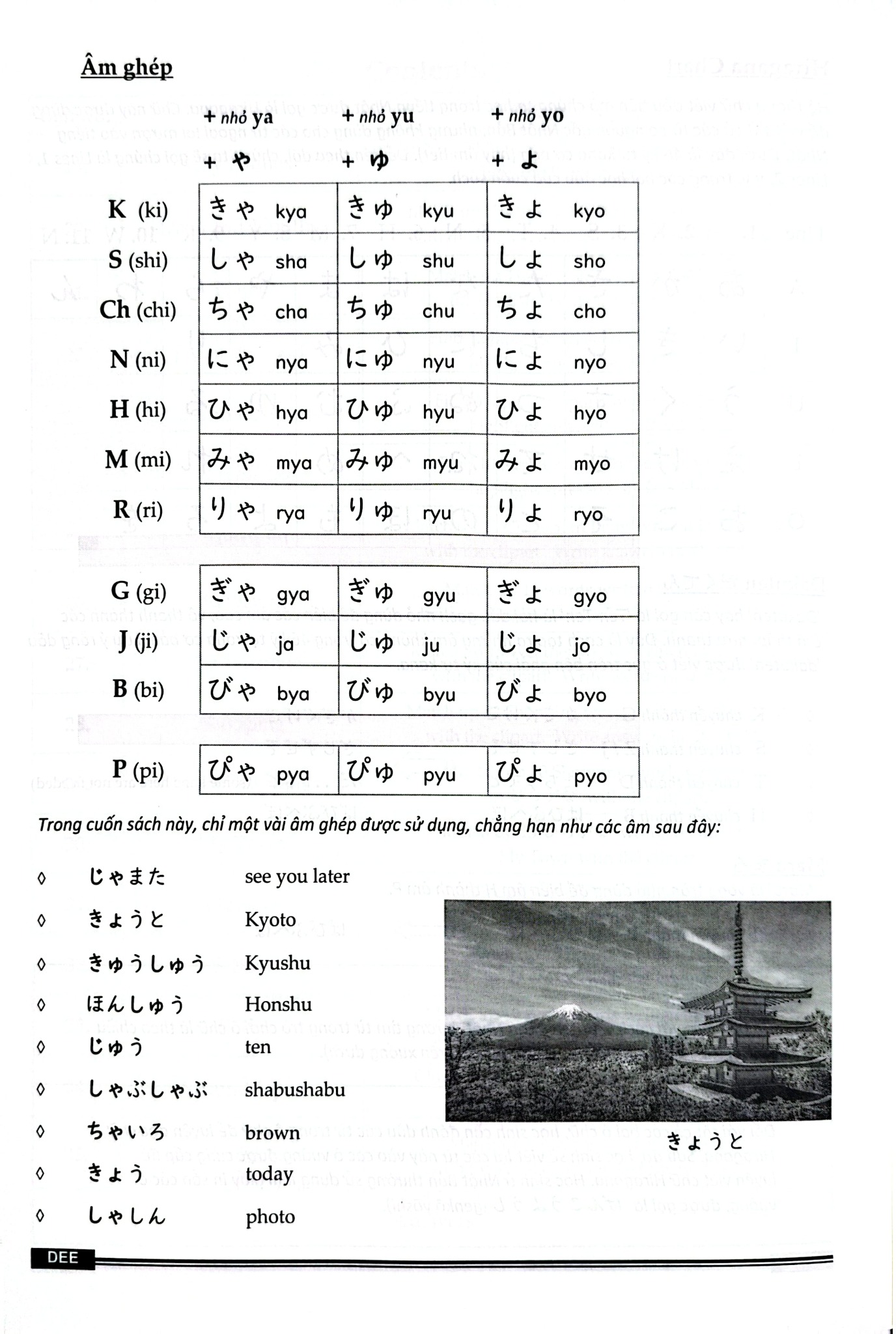 Vui Học Hiragana - 200 Từ Vựng Tiếng Nhật Phổ Thông Cho Người Mới Bắt Đầu - Donal Stark