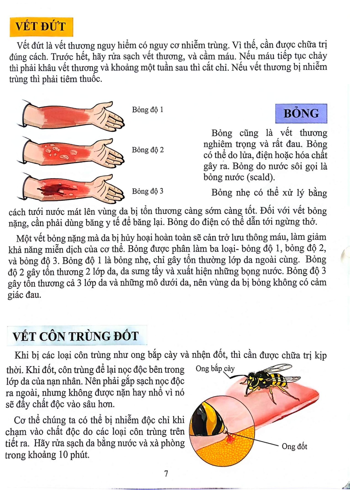Cơ Thể Của Tôi Hoạt Động Như Thế Nào - Cấp Cứu - T.R.Bhanot