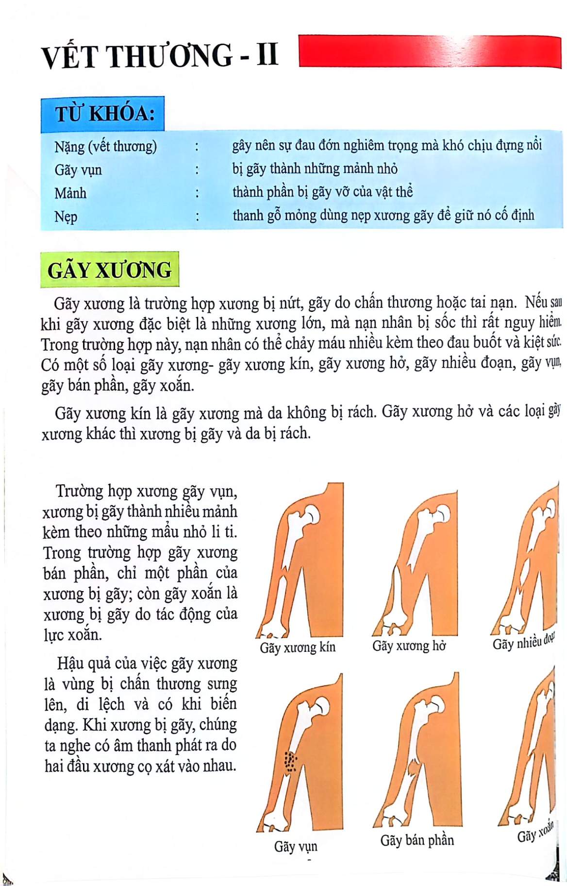 Cơ Thể Của Tôi Hoạt Động Như Thế Nào - Cấp Cứu - T.R.Bhanot