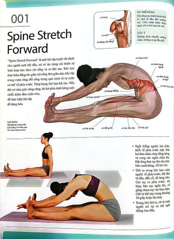  Combo 2 Cuốn 501 Bài Tập Giảm Cân Và Giữ Dáng + 70 Bài Tập Phát Triển, Cải Thiện Vóc Dáng, Tăng Sự Dẻo Dai 