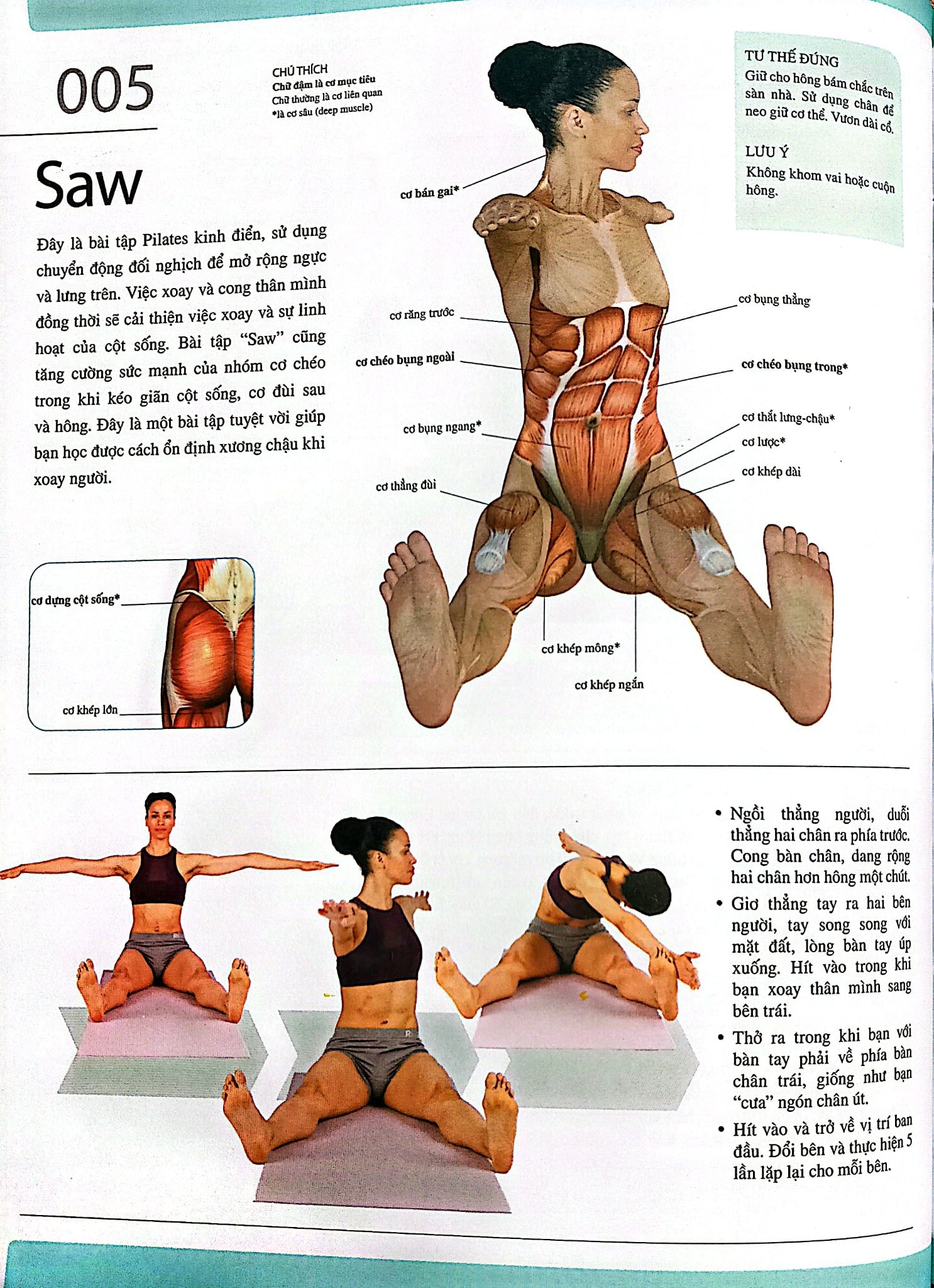 501 Bài Tập Giảm Cân Và Giữ Dáng (Sách Ảnh; In Màu) - Andra Avizienis