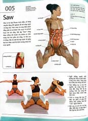 501 Bài Tập Giảm Cân Và Giữ Dáng (Sách Ảnh; In Màu) - Andra Avizienis