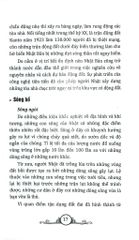 Tìm Hiểu Văn Hóa Nhật Bản - Nguyễn Trường Tân